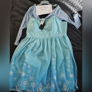 Her Universe Frozen Elsa dress plus size 3